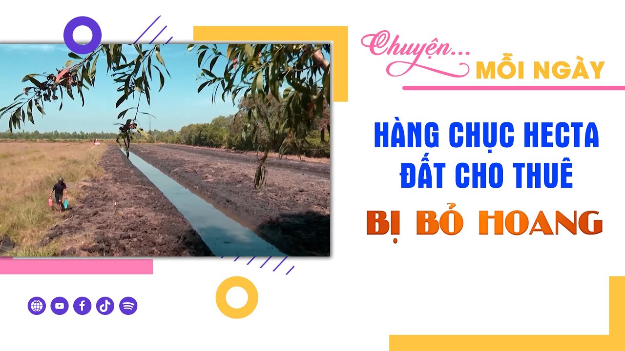 CHUYỆN MỖI NGÀY 6-1-2024 |Tin nóng cho bạn ||BPTV