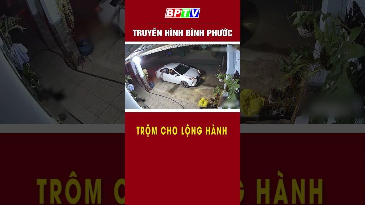 Trộm cho/ lộng hành #shorts  | BPTV