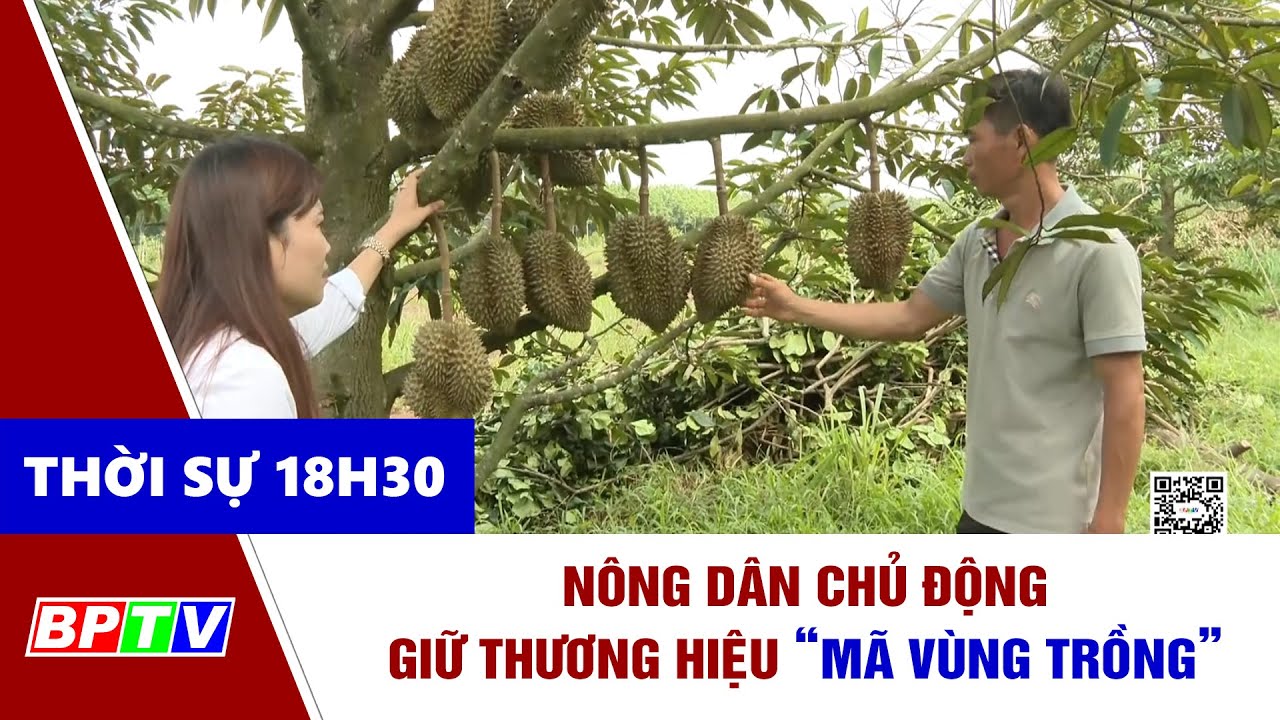 🔴[Trực tiếp] - Thời sự Bình Phước tối 12-9-2023