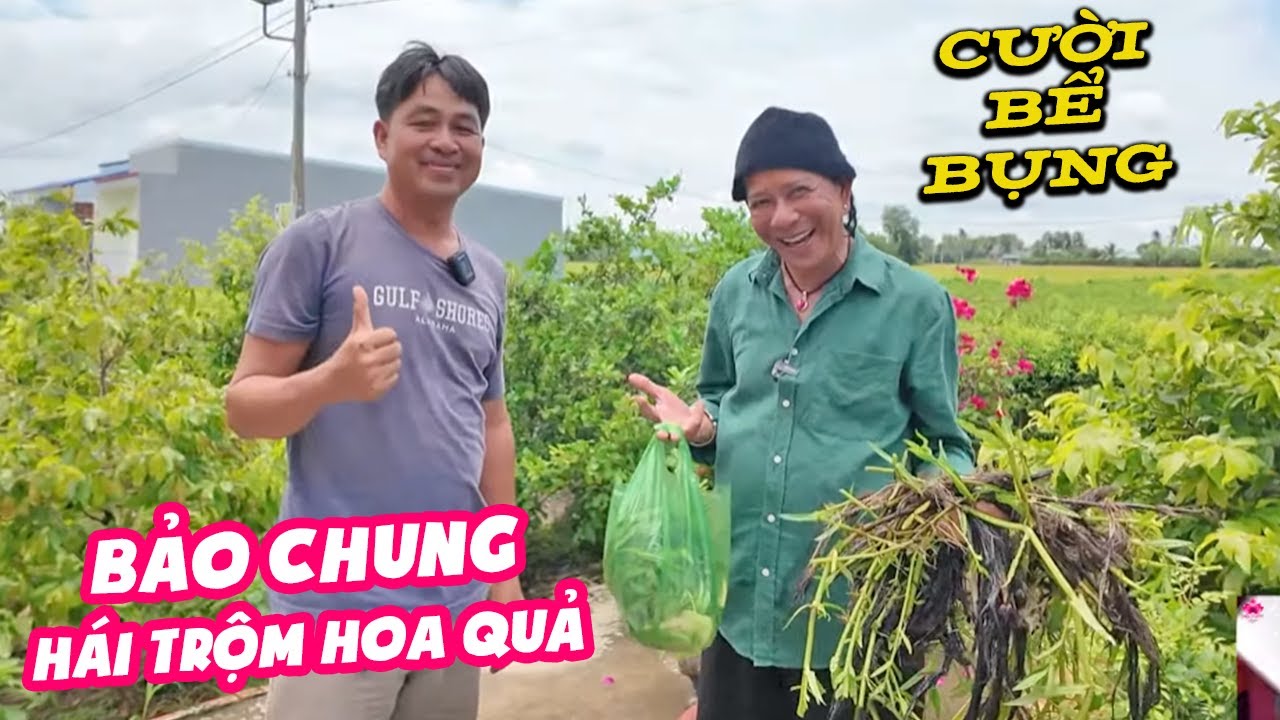 Cười Bể Bụng với Danh Hài Bảo Chung Hái Trộm Hoa Quả - Bảo Chung Vlog Mới Nhất 2024