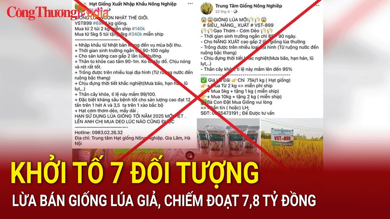 Khởi tố 7 đối tượng lừa bán giống lúa giả, chiếm đoạt 7,8 tỷ đồng | Báo Công Thương