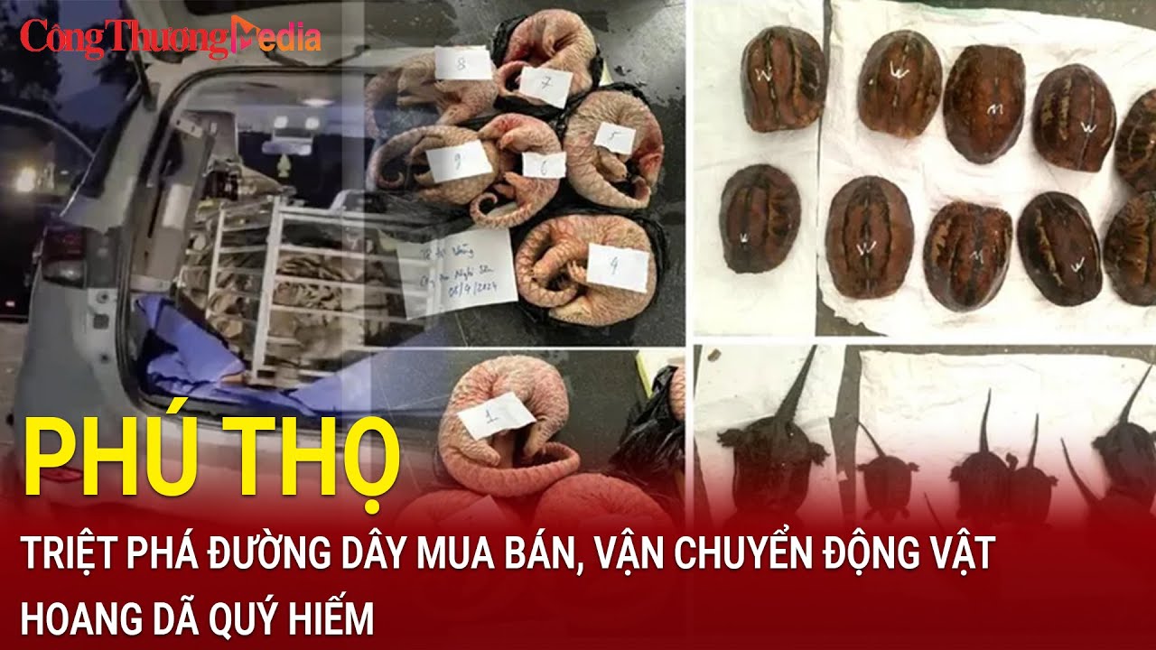 Phú Thọ: triệt phá đường dây mua bán, vận chuyển động vật hoang dã quý hiếm