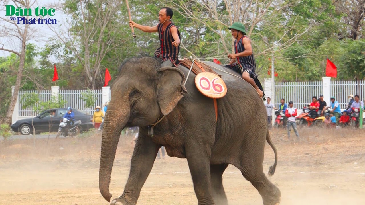 Lễ hội Đua voi của dân tộc Mnông