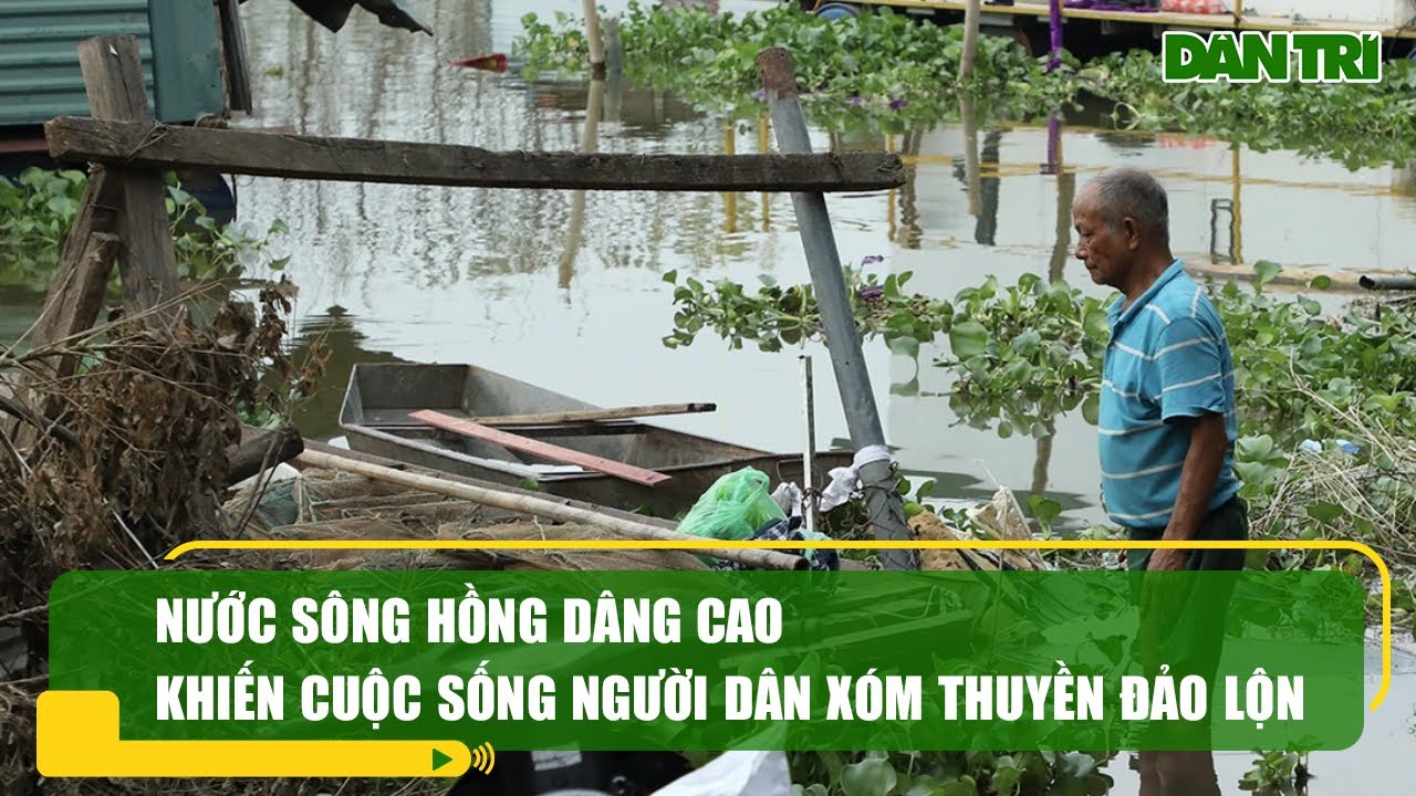 Nước sông Hồng dâng cao khiến cuộc sống người dân xóm thuyền đảo lộn