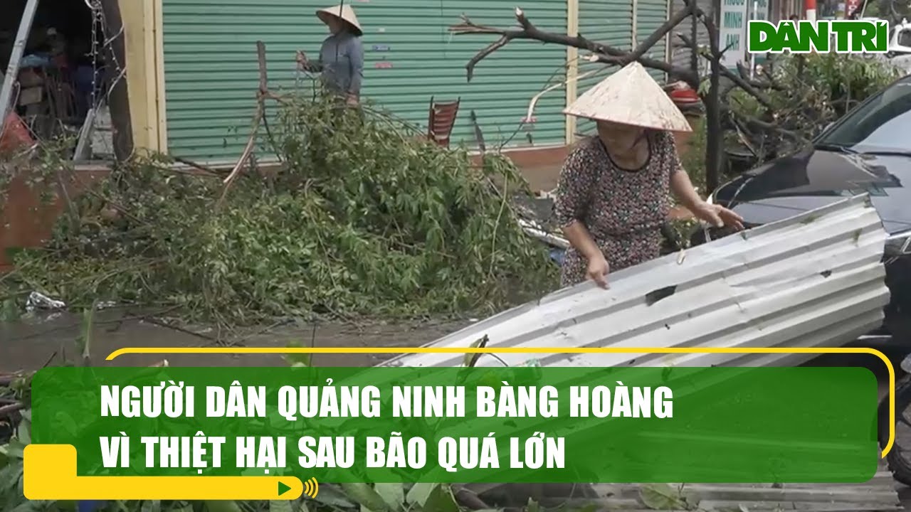 Người dân Quảng Ninh bàng hoàng vì thiệt hại sau bão quá lớn