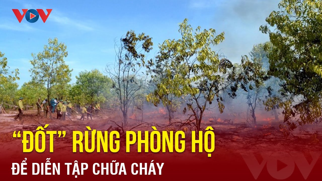 “Đốt” rừng phòng hộ để diễn tập chữa cháy | Báo Điện tử VOV