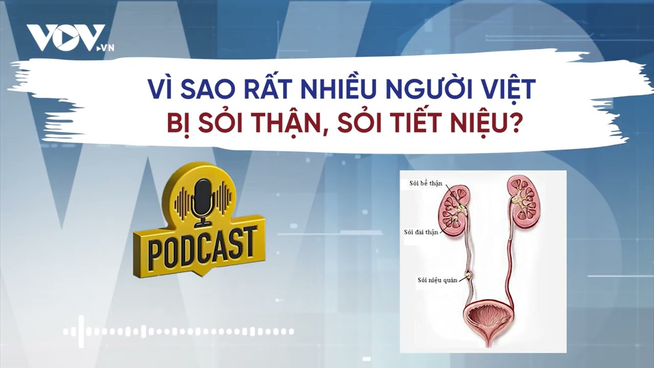 Vì sao rất nhiều người Việt bị sỏi thận, sỏi tiết niệu? | Báo Điện tử VOV