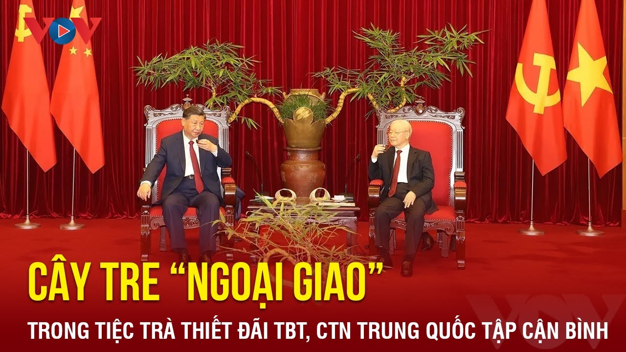 Cây tre “ngoại giao” trong tiệc trà thiết đãi TBT, CTN Trung Quốc Tập Cận Bình | BÁO ĐIỆN TỬ VOV