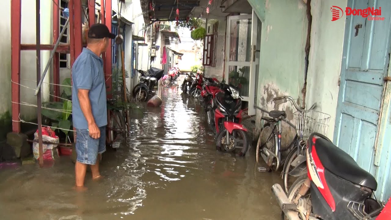 Nước sông Đồng Nai dâng cao, gây ngập một số khu dân cư tại Biên Hòa