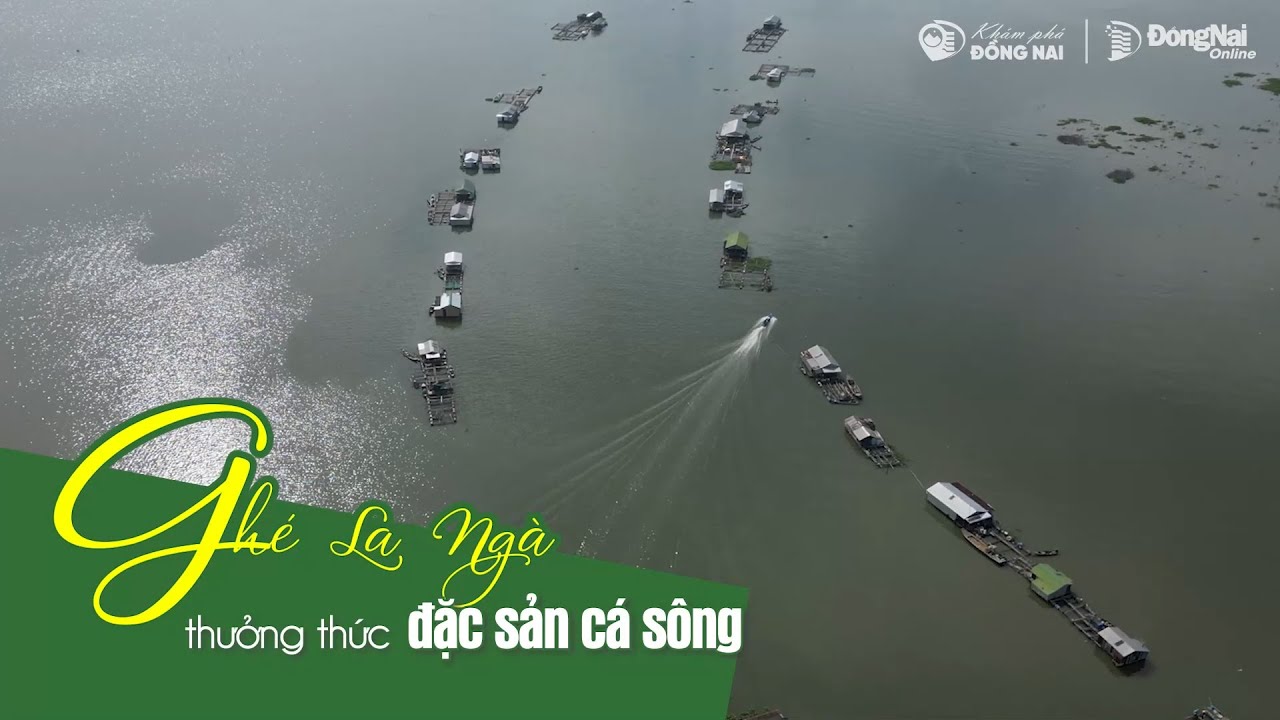 Ghé La Ngà thưởng thức đặc sản cá sông