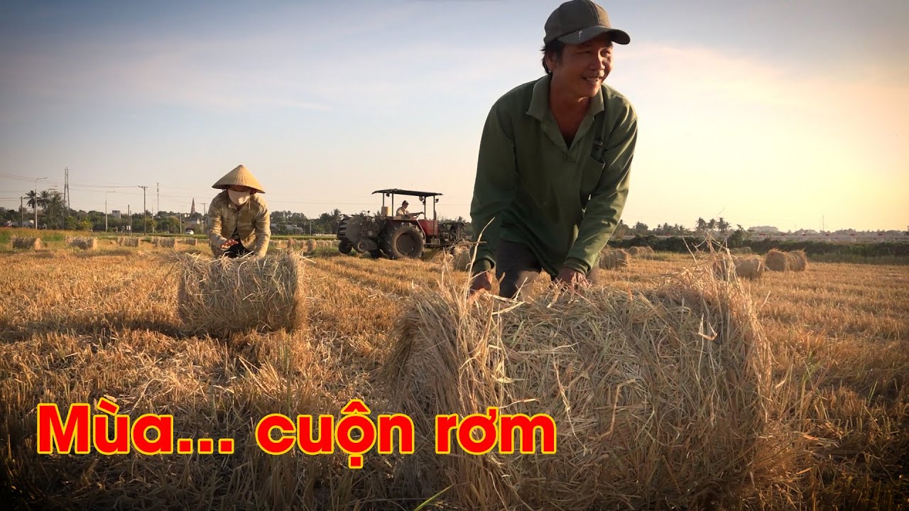 Mùa… cuộn rơm