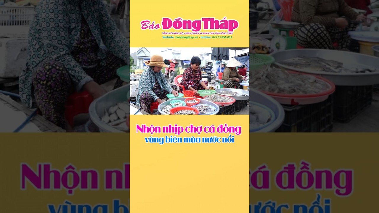 Nhộn nhịp chợ cá đồng