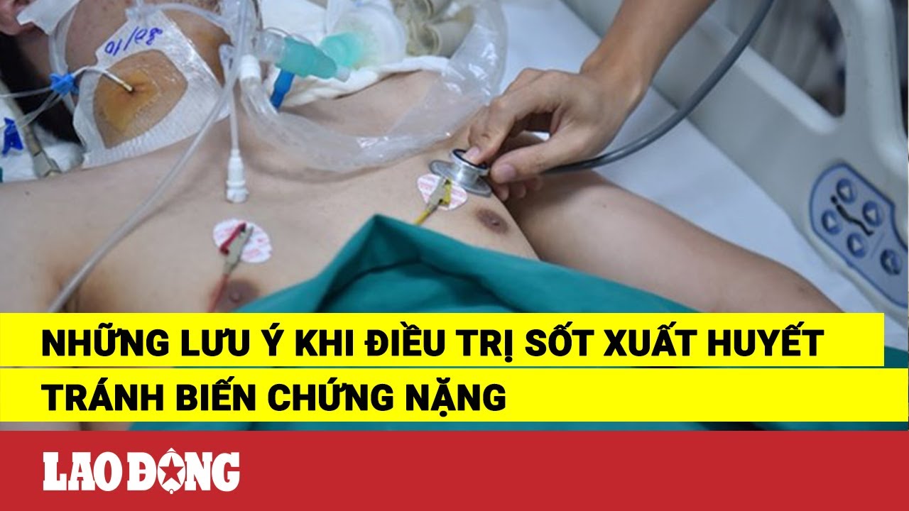 Những lưu ý khi điều trị sốt xuất huyết tránh biến chứng nặng | Báo Lao Động