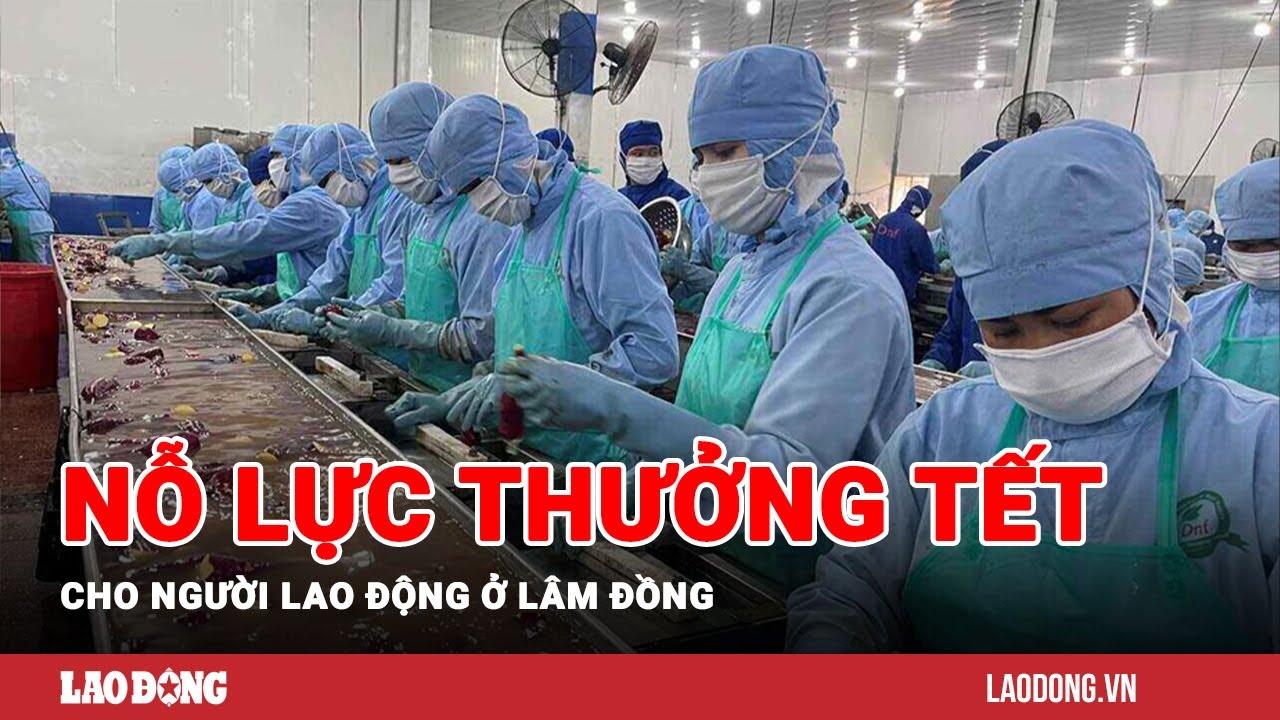 Các doanh nghiệp ở Lâm Đồng nỗ lực thưởng Tết cho người lao động | Báo Lao Động