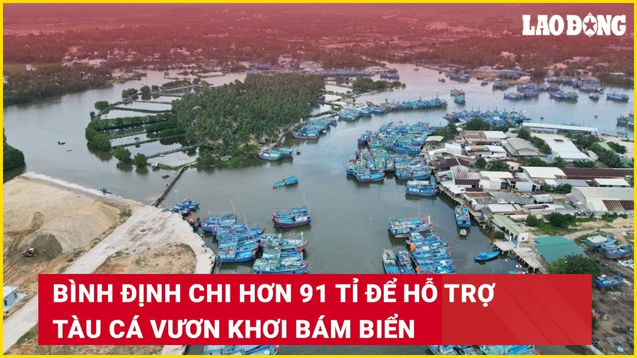 Bình Định chi hơn 91 tỉ để hỗ trợ tàu cá vươn khơi bám biển | Báo Lao Động