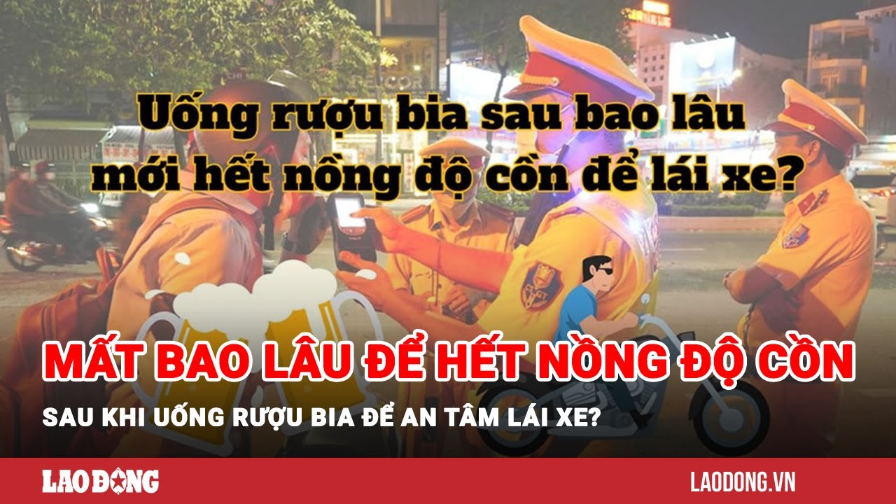 Mất bao lâu để hết nồng độ cồn sau khi uống rượu bia để an tâm lái xe? | Báo Lao Động