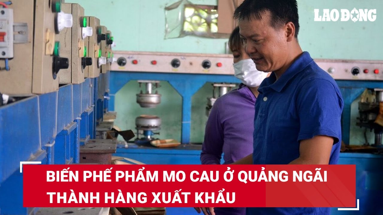 Biến phế phẩm mo cau ở Quảng Ngãi thành hàng xuất khẩu | Báo Lao Động