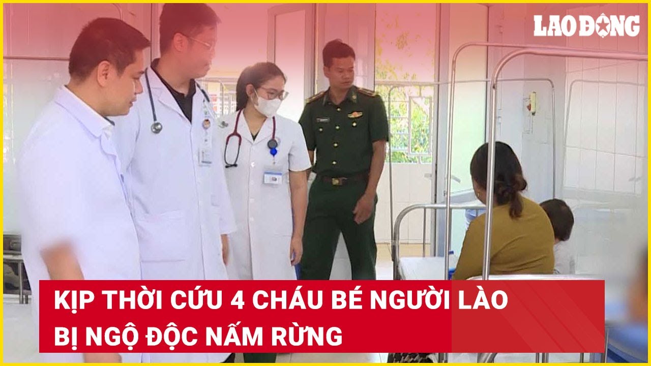 Kịp thời cứu 4 cháu bé người Lào bị ngộ độc nấm rừng | Báo Lao Động