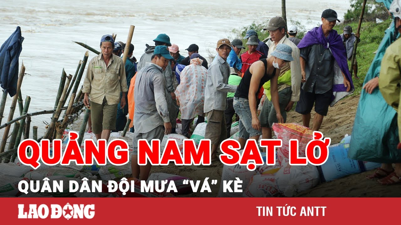 Quảng Nam sạt lở nghiêm trọng, quân dân đội mưa đóng cọc tre, nhồi bao cát 'vá' kè | BLĐ