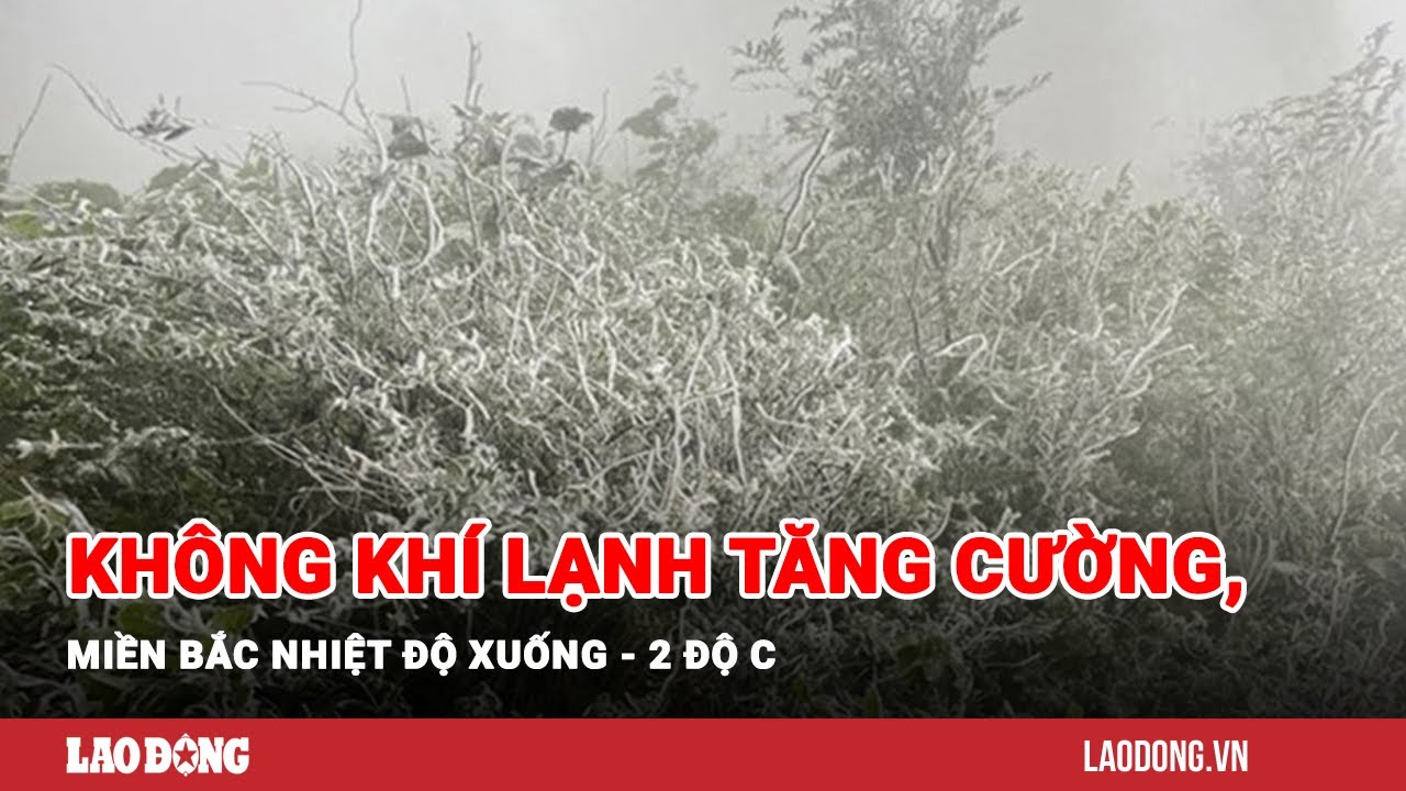 Tin tức 24h: Không khí lạnh tăng cường, miền Bắc nhiệt độ xuống - 2 độ C | Báo Lao Động