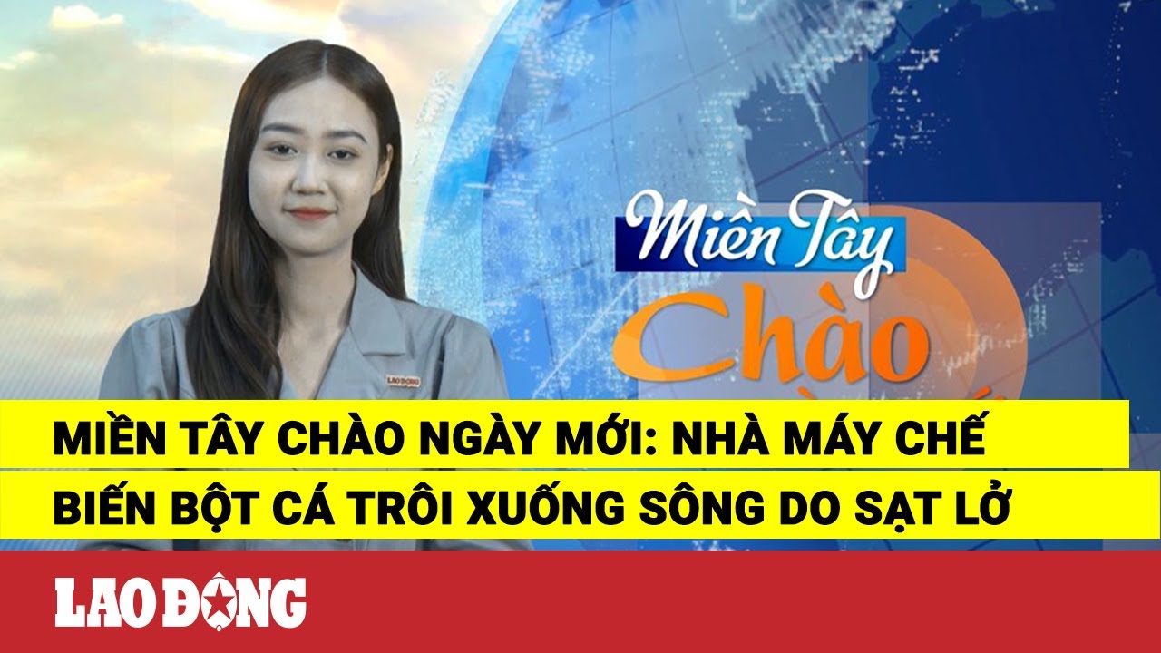 Miền Tây Chào Ngày Mới: Nhà máy chế biến bột cá trôi xuống sông do sạt lở | Báo Lao Động