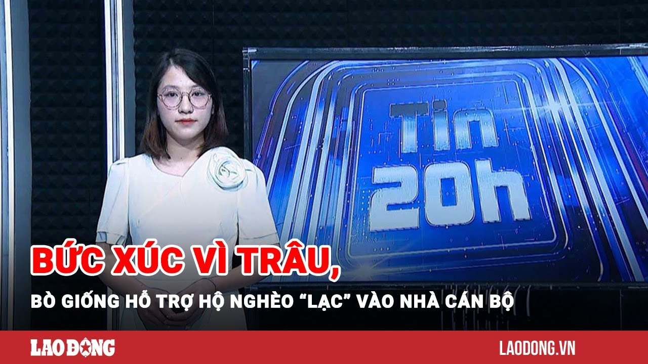 Tin 20h: Bức xúc vì trâu, bò giống hỗ trợ hộ nghèo “lạc” vào nhà cán bộ | Báo Lao Động