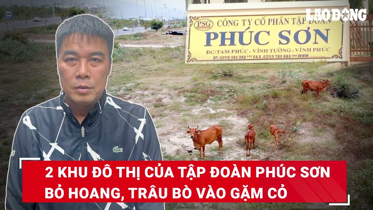 Hiện trạng đổ nát, trâu bò vào gặm cỏ của 2 KĐT nghìn tỷ do Tập đoàn Phúc Sơn đầu tư tại Nha Trang