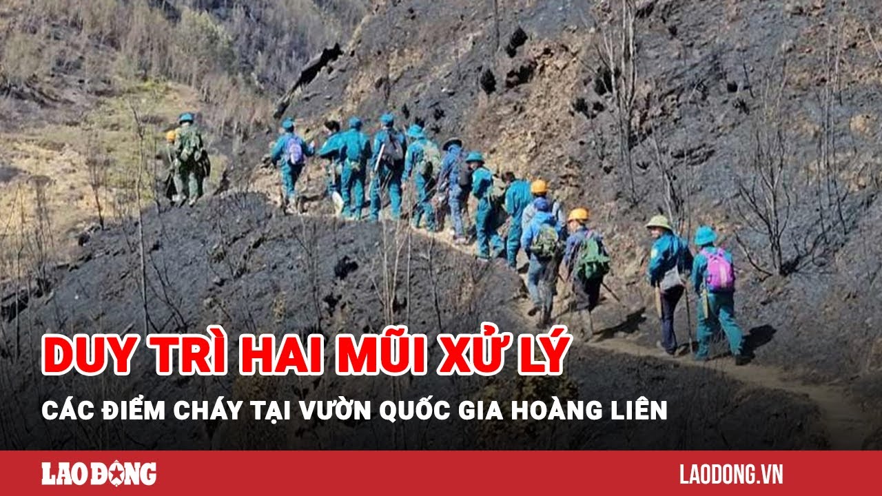 Duy trì hai mũi xử lý các điểm cháy tại Vườn Quốc gia Hoàng Liên| Báo Lao Động