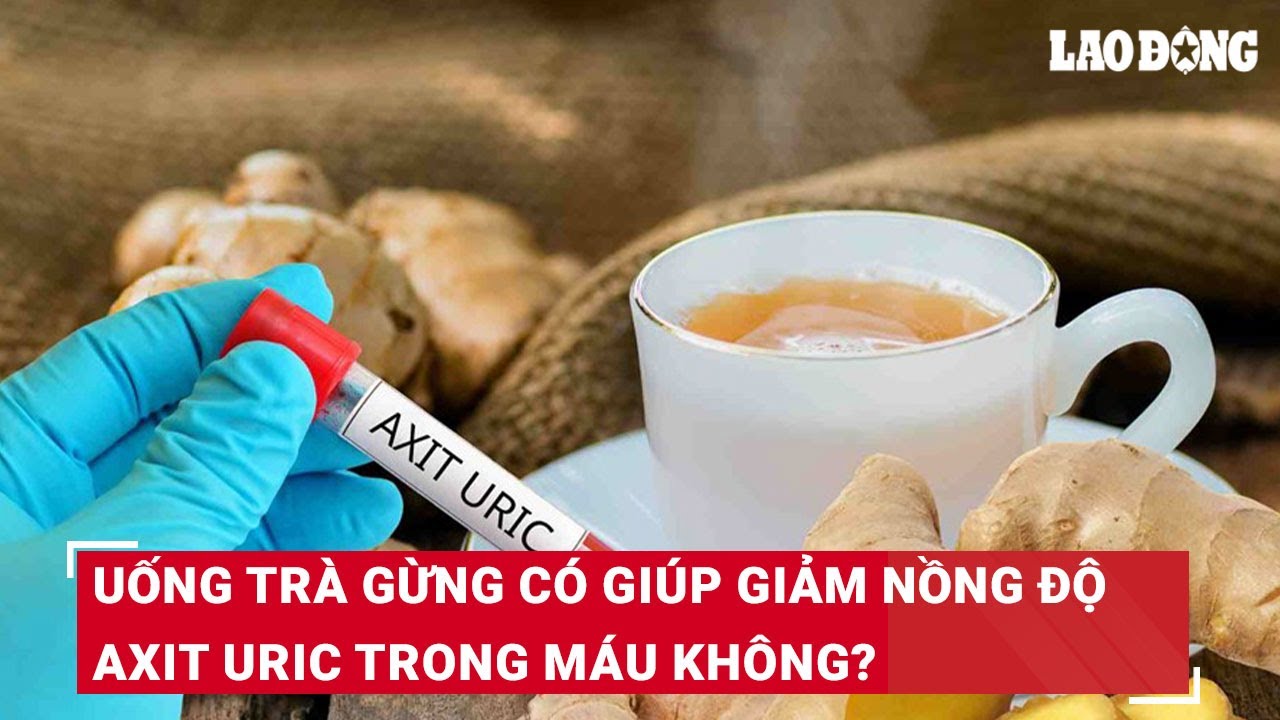 Uống trà gừng có giúp giảm nồng độ axit uric trong máu không? | Báo Lao Động