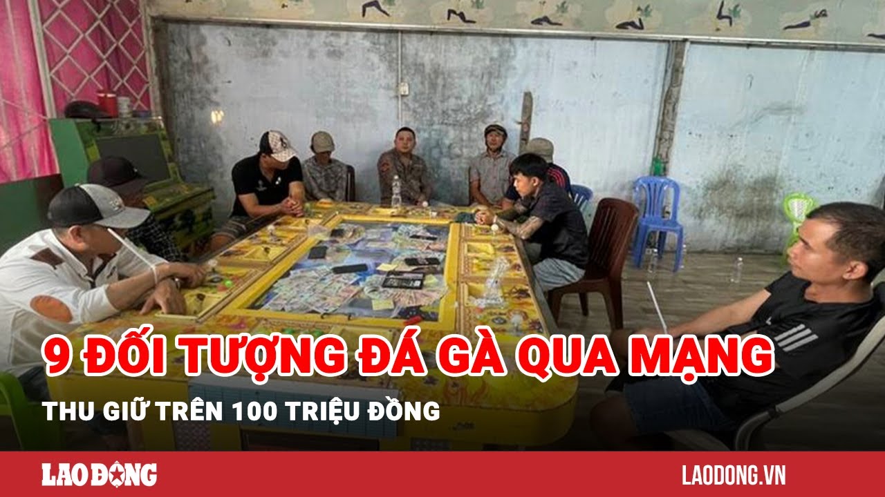 Bắt quả tang 9 đối tượng đá gà qua mạng thu giữ trên 100 triệu đồng | Báo Lao Động