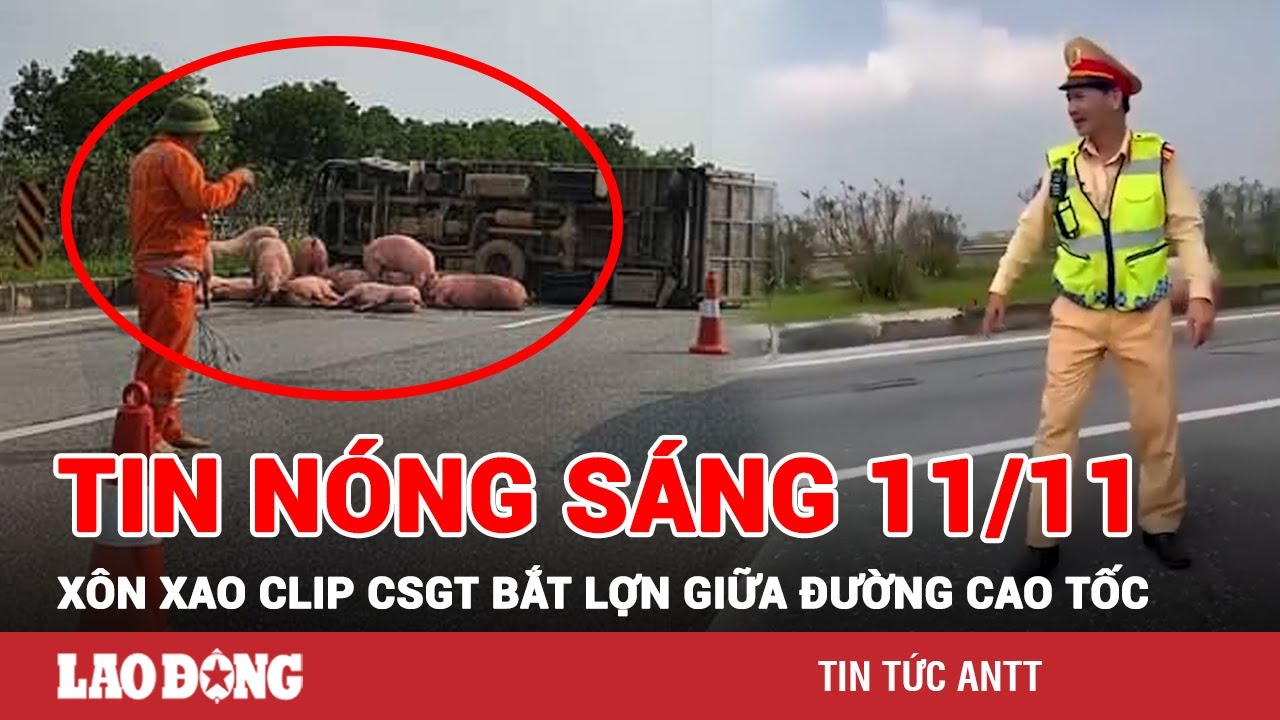 Tin tức nóng Sáng 11/11 | Toàn cảnh an ninh 24h mới nhất | BÁO LAO ĐỘNG