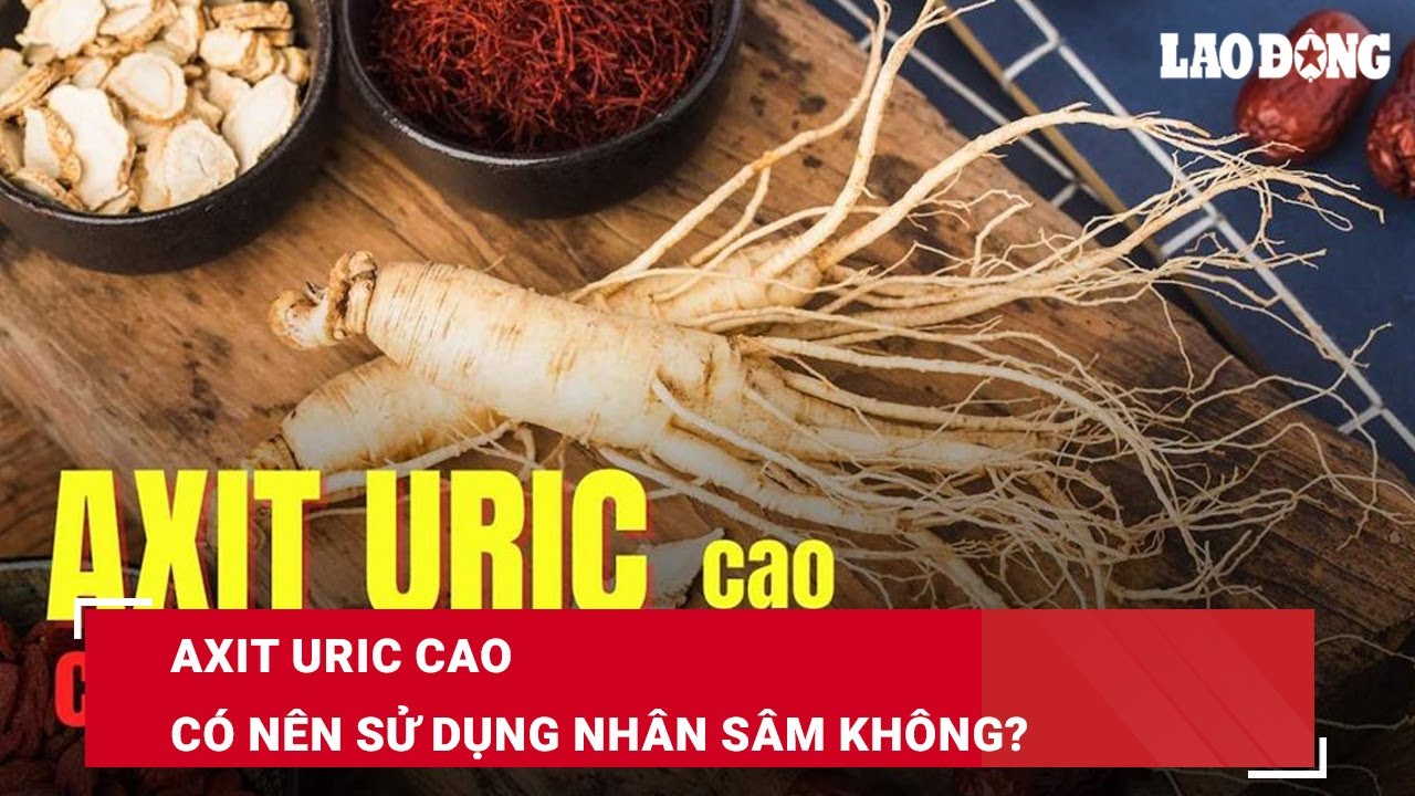 Axit uric cao có nên sử dụng nhân sâm không? | Báo Lao Động