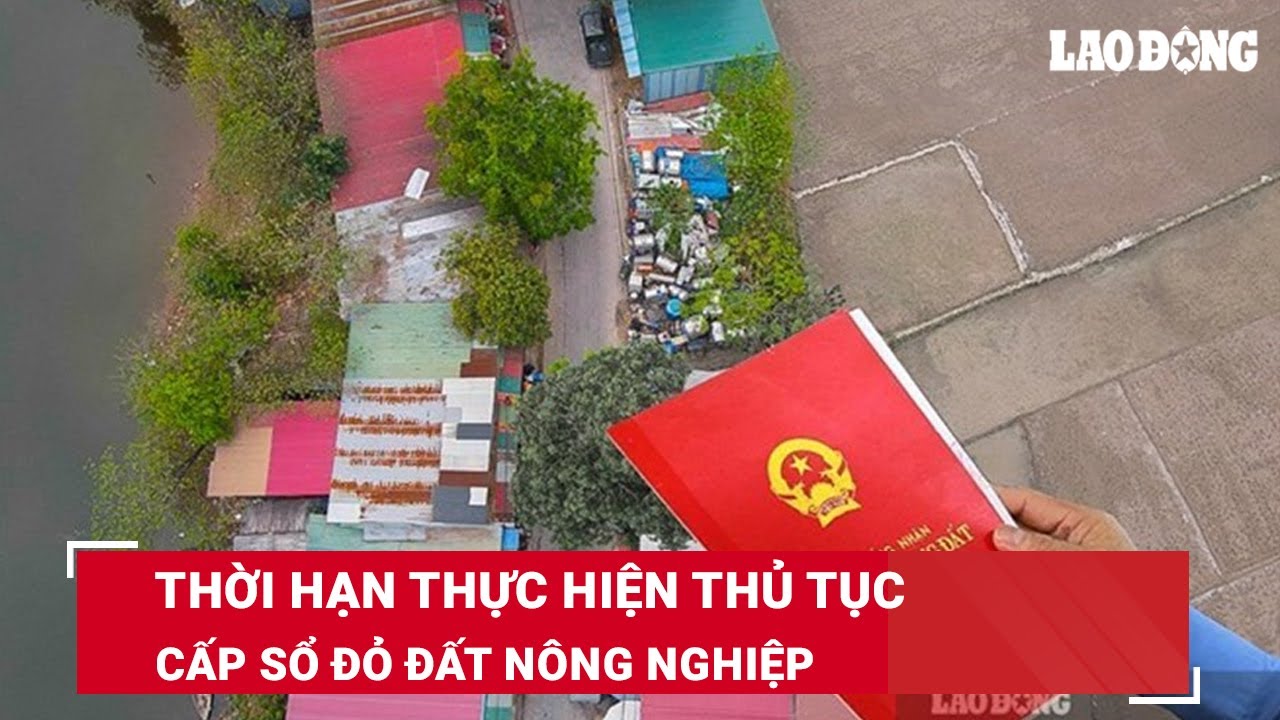 Thời hạn thực hiện thủ tục cấp sổ đỏ đất nông nghiệp | Báo Lao Động