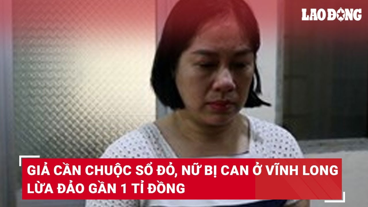 Giả cần chuộc sổ đỏ, nữ bị can ở Vĩnh Long lừa đảo gần 1 tỉ đồng | Báo Lao Động