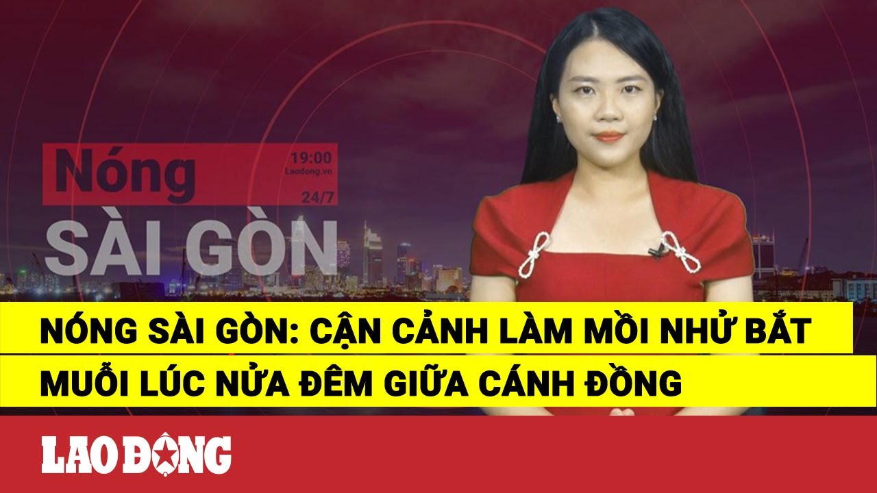 Nóng Sài Gòn: Cận cảnh làm mồi nhử bắt muỗi lúc nửa đêm giữa cánh đồng | Báo Lao Động