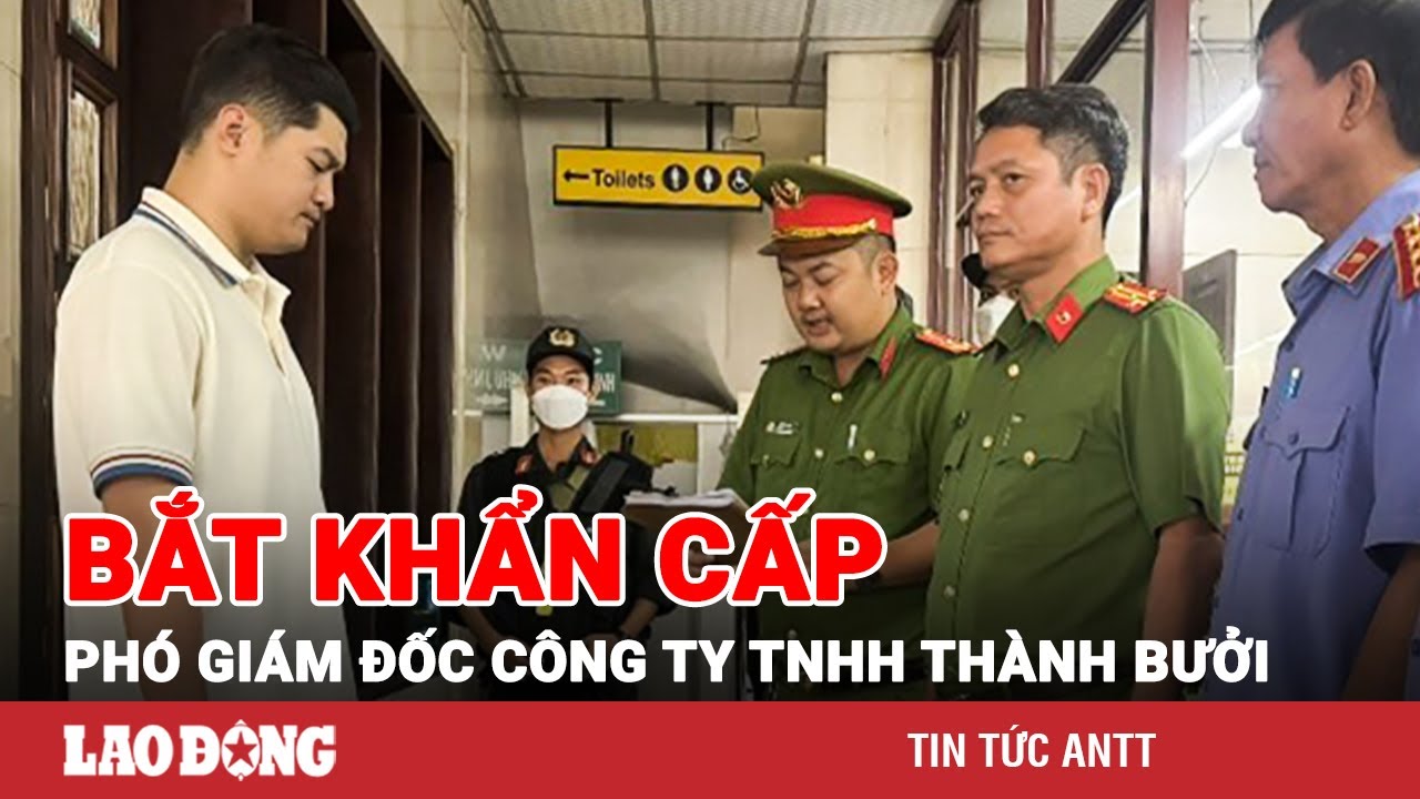 NÓNG: Khám xét trụ sở, bắt khẩn cấp Phó Giám đốc Công ty TNHH Thành Bưởi | BLĐ