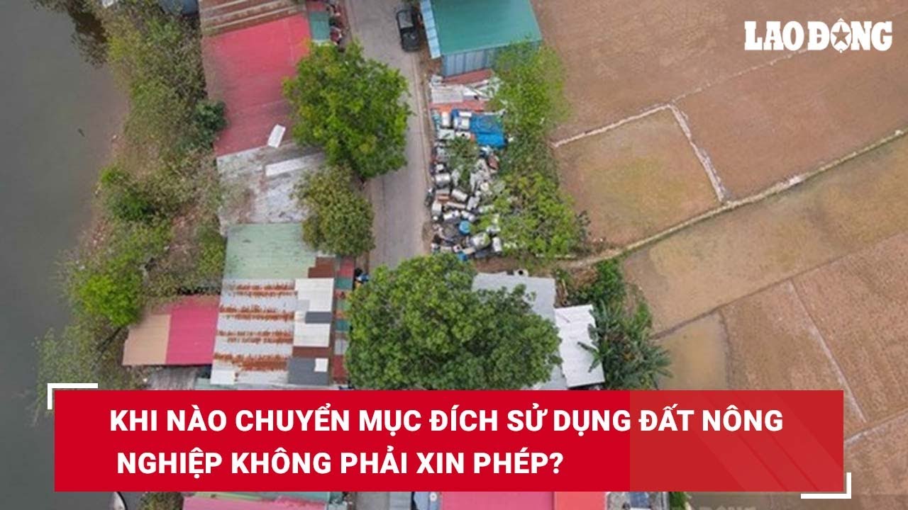 Khi nào chuyển mục đích sử dụng đất nông nghiệp không phải xin phép?| Báo Lao Động