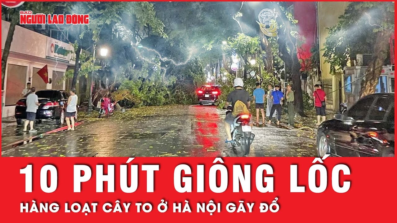 Hàng chục cây to gãy đổ ở Hà Nội chỉ sau 10 phút giông lốc kèm cơn mưa đá | Tin tức