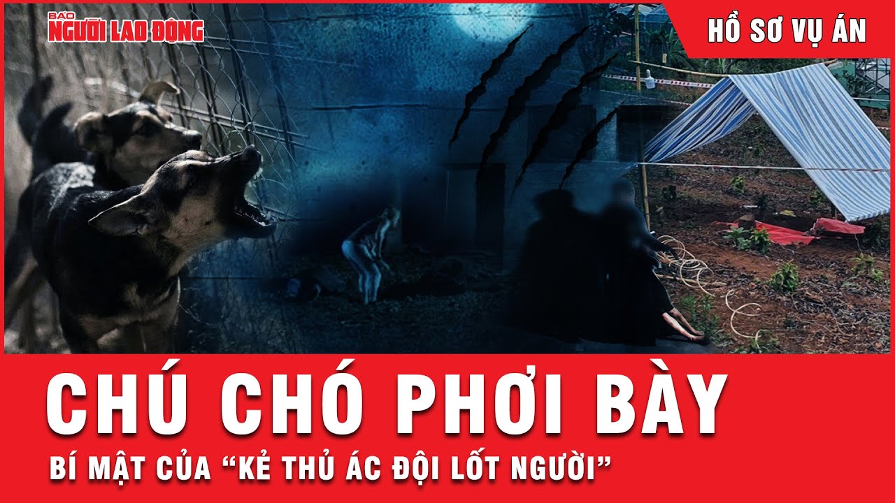 “Kẻ thủ ác đội lốt người” và bí mật kinh hoàng được tiết lộ bởi chú chó sau đêm mưa lớn