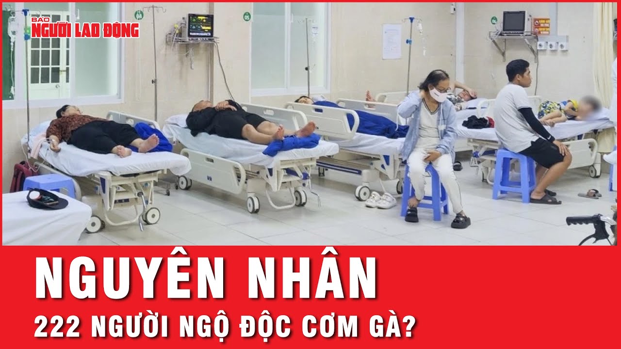 Thông tin mới nhất vụ ngộ độc cơm gà khiến hơn 220 người nhập viện điều trị | Tin tức