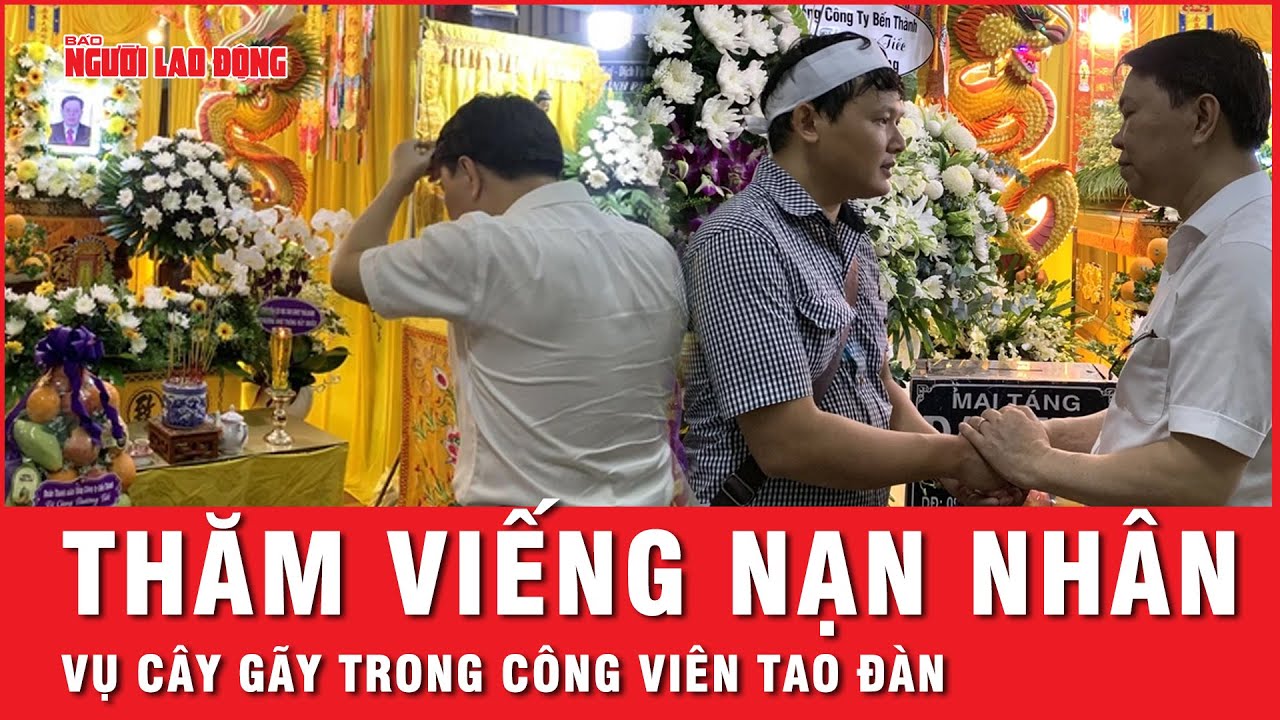 Thăm viếng, hỗ trợ các nạn nhân vụ gãy nhánh cây trong Công viên Tao Đàn | Thời sự