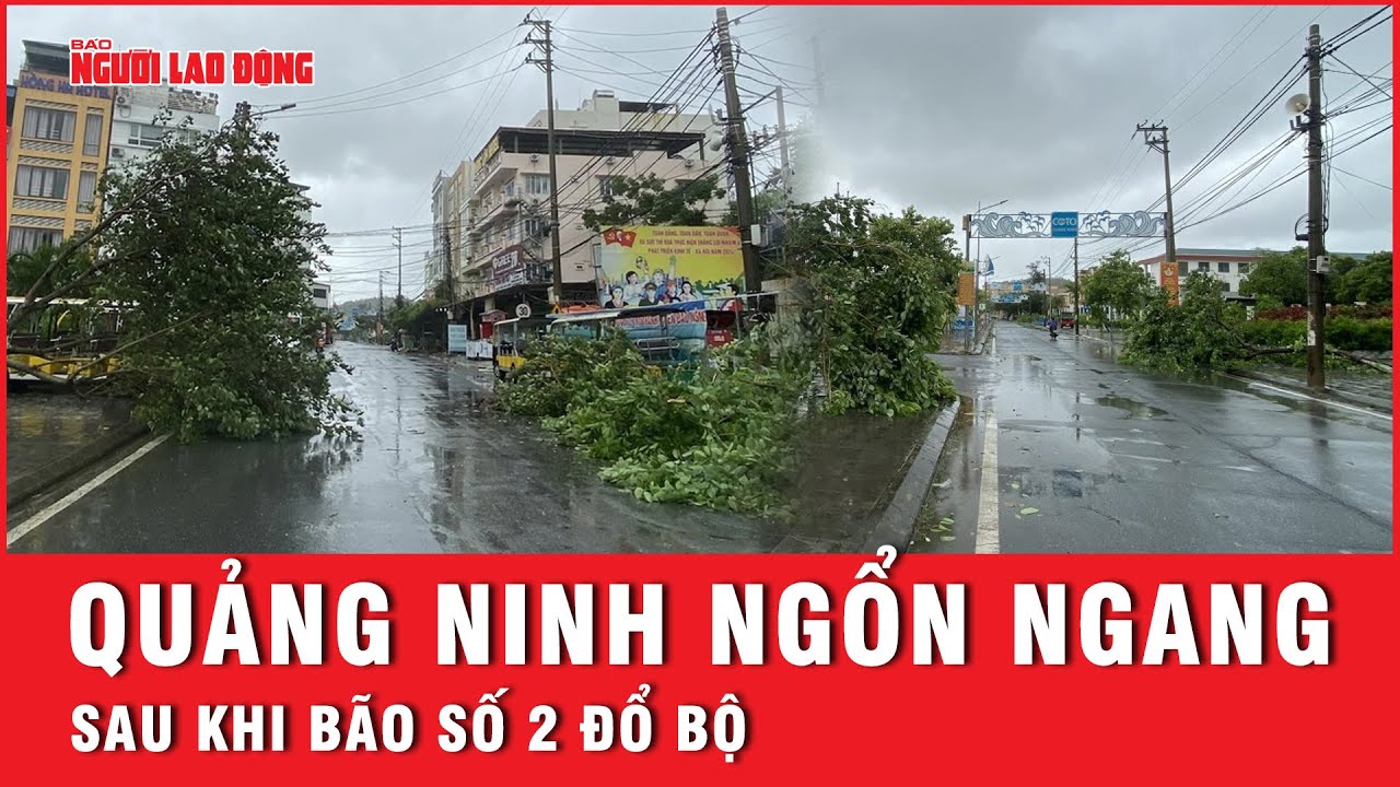 Thống kê thiệt hại ban đầu ở Quảng Ninh sau khi bão số 2 đổ bộ | Thời sự