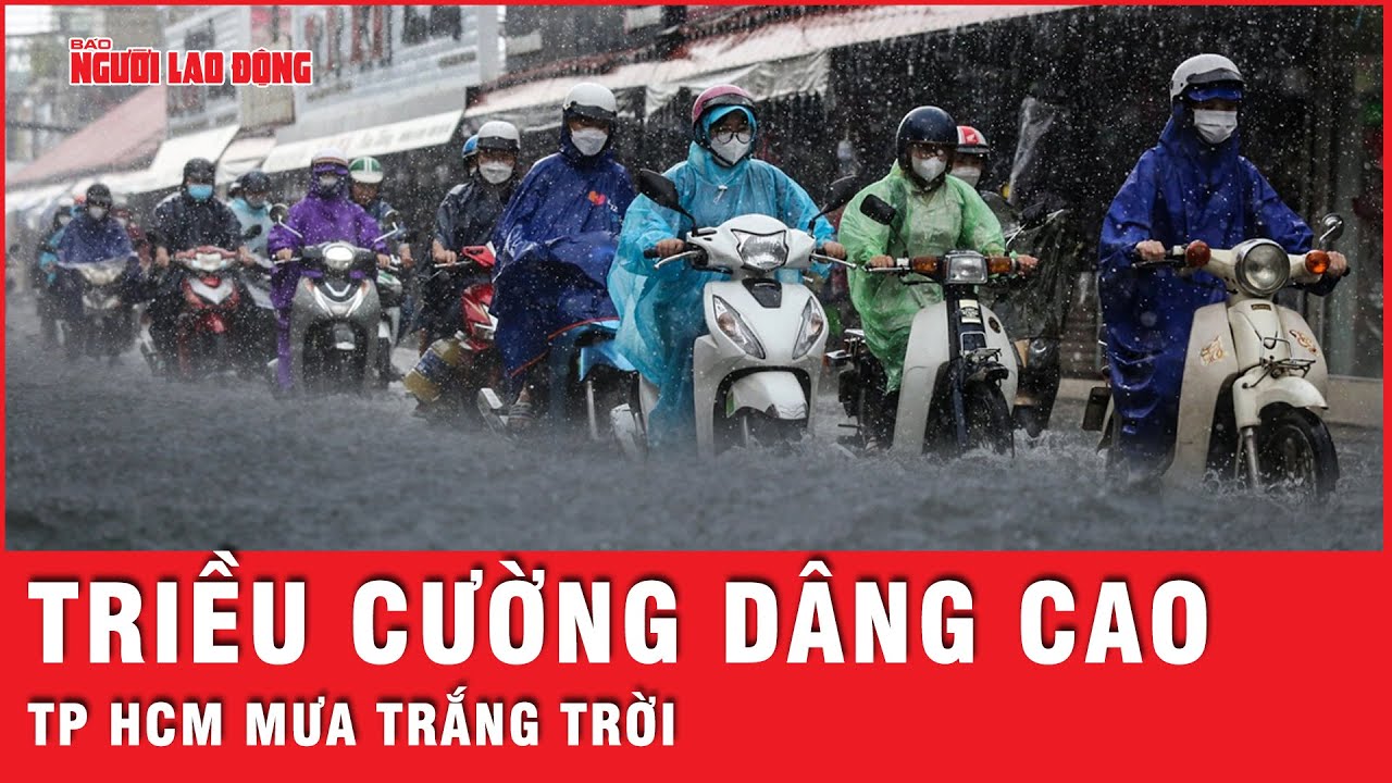 Triều cường dâng cao, mưa lớn diện rộng tại TP HCM và Nam Bộ, cảnh báo dông sét | Thời sự