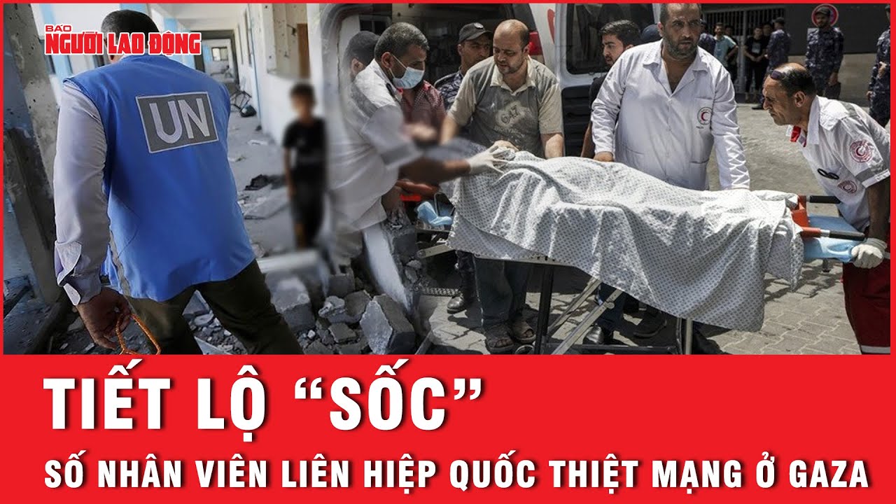 “Sốc” với số lượng nhân viên Liên Hiệp Quốc tử vong vì xung đột Israel - Hamas  | Tin thế giới