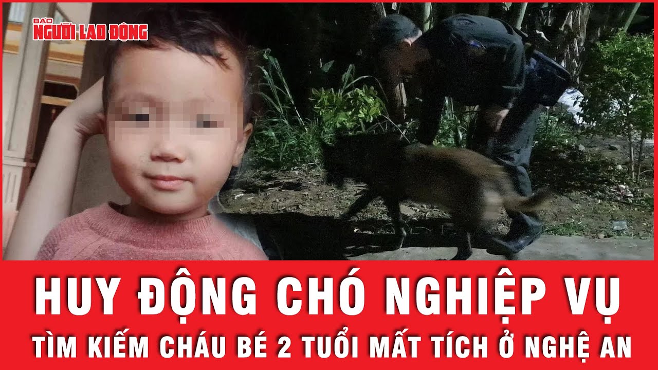 Vụ cháu bé 2 tuổi mất tích bí ẩn: Huy động chó nghiệp vụ tìm kiếm | Tin nhanh