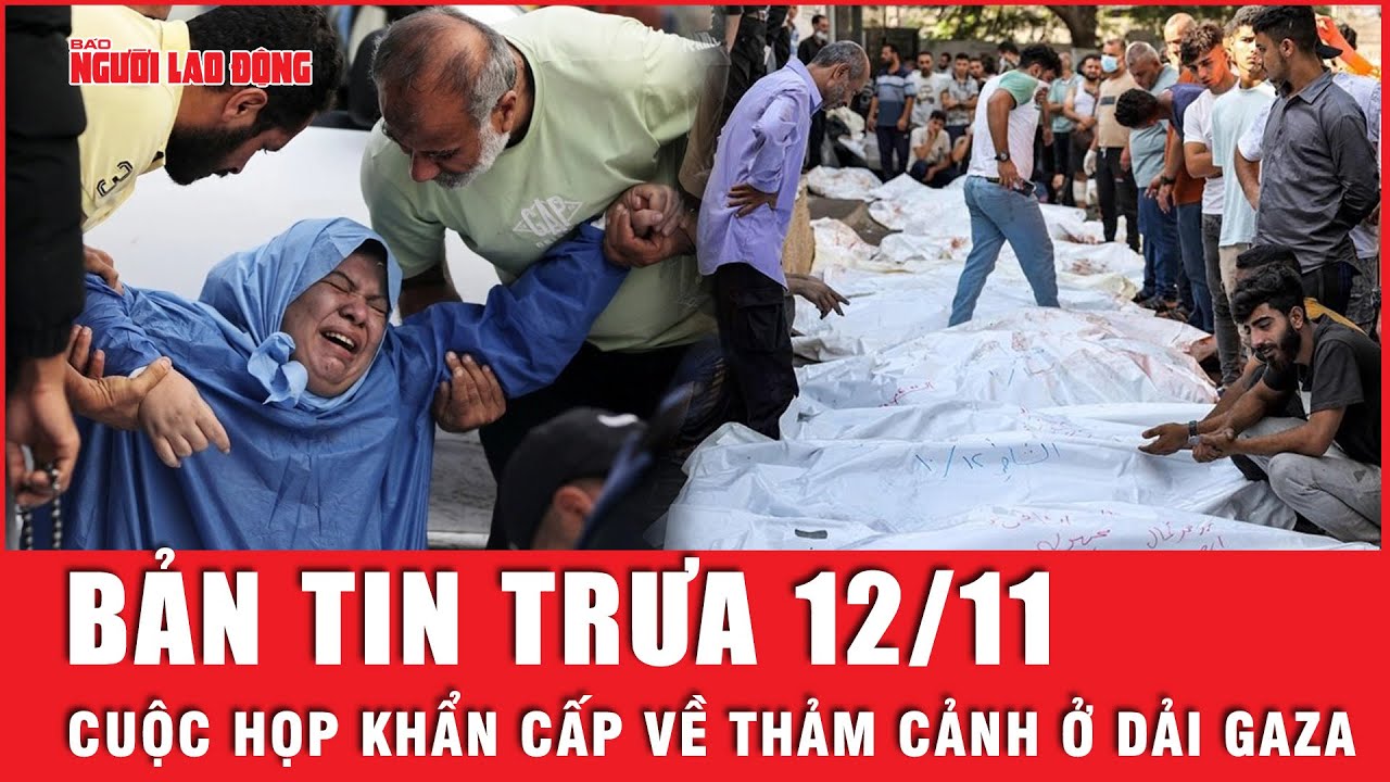 Thời sự trưa 12-11: Cuộc họp khẩn cấp về thảm cảnh ở Dải Gaza | Tin tức