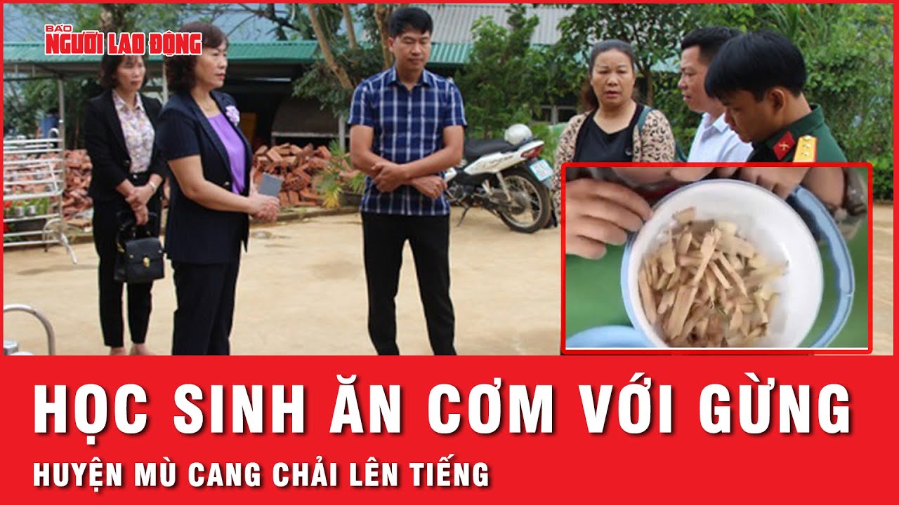 Huyện Mù Cang Chải báo cáo gì về thông tin học sinh mầm non ăn "cơm trắng với gừng"? | Thời sự