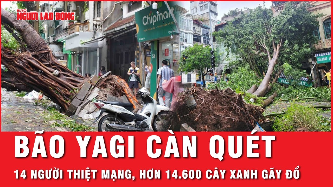 Bão số 3 càn quét kinh hoàng khiến 14 người thiệt mạng, hơn 14.600 cây xanh ở Hà Nội gãy đổ