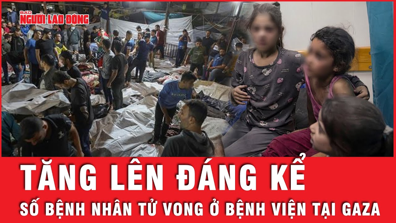 Sau cuộc họp của 70 đại sứ Liên hiệp quá, số người tử vong tại bệnh viện ở Gaza tiếp tục tăng