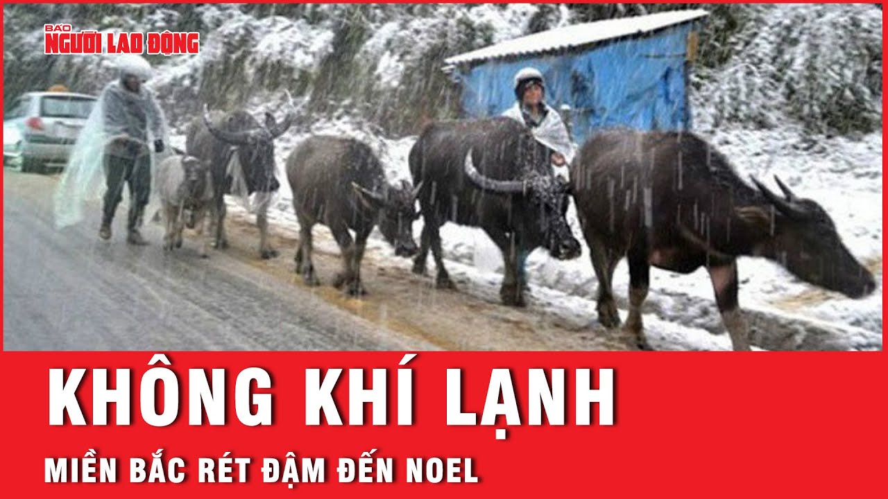 Không khí lạnh tăng cường khiến miền Bắc rét đến Noel | Tin tức